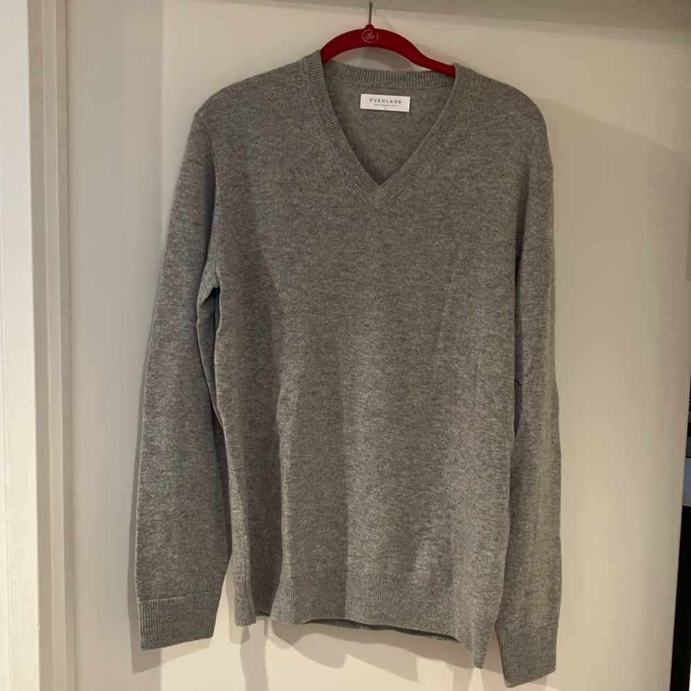 Everlane Cashmere V Neck Sweater